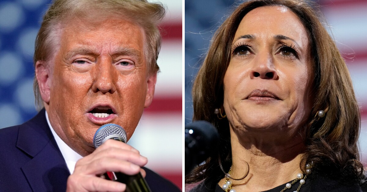 Trump, Harris make closing arguments in final stretch ahead of Election Day